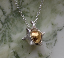 Load image into Gallery viewer, Conker Necklace