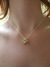 Load image into Gallery viewer, Conker Necklace