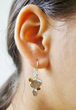 Load image into Gallery viewer, Pebble Earrings