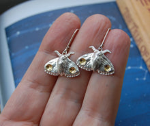 Load image into Gallery viewer, Moth silver earrings