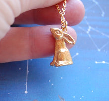 Load image into Gallery viewer, Gold dipped Hare