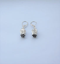 Load image into Gallery viewer, Poppy seed Earrings