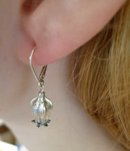 Load image into Gallery viewer, Poppy seed Earrings